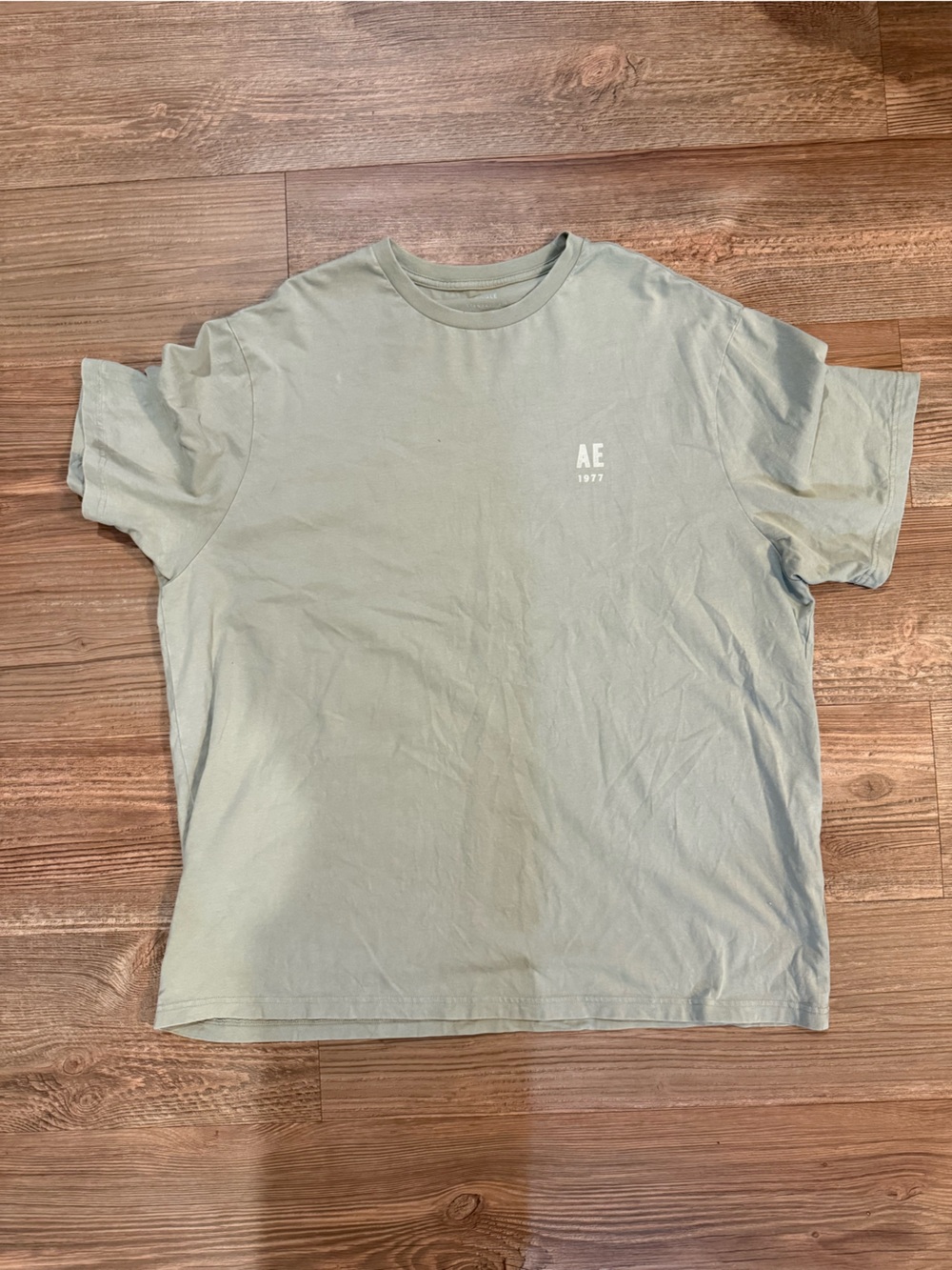 American Eagle Outfitters Sage Green AE 1977 Short Sleeve Tee